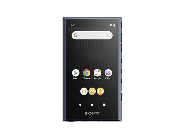 SONY WALKMAN NW-A307 64GB Hi-Res A300 Series Audio Player English
