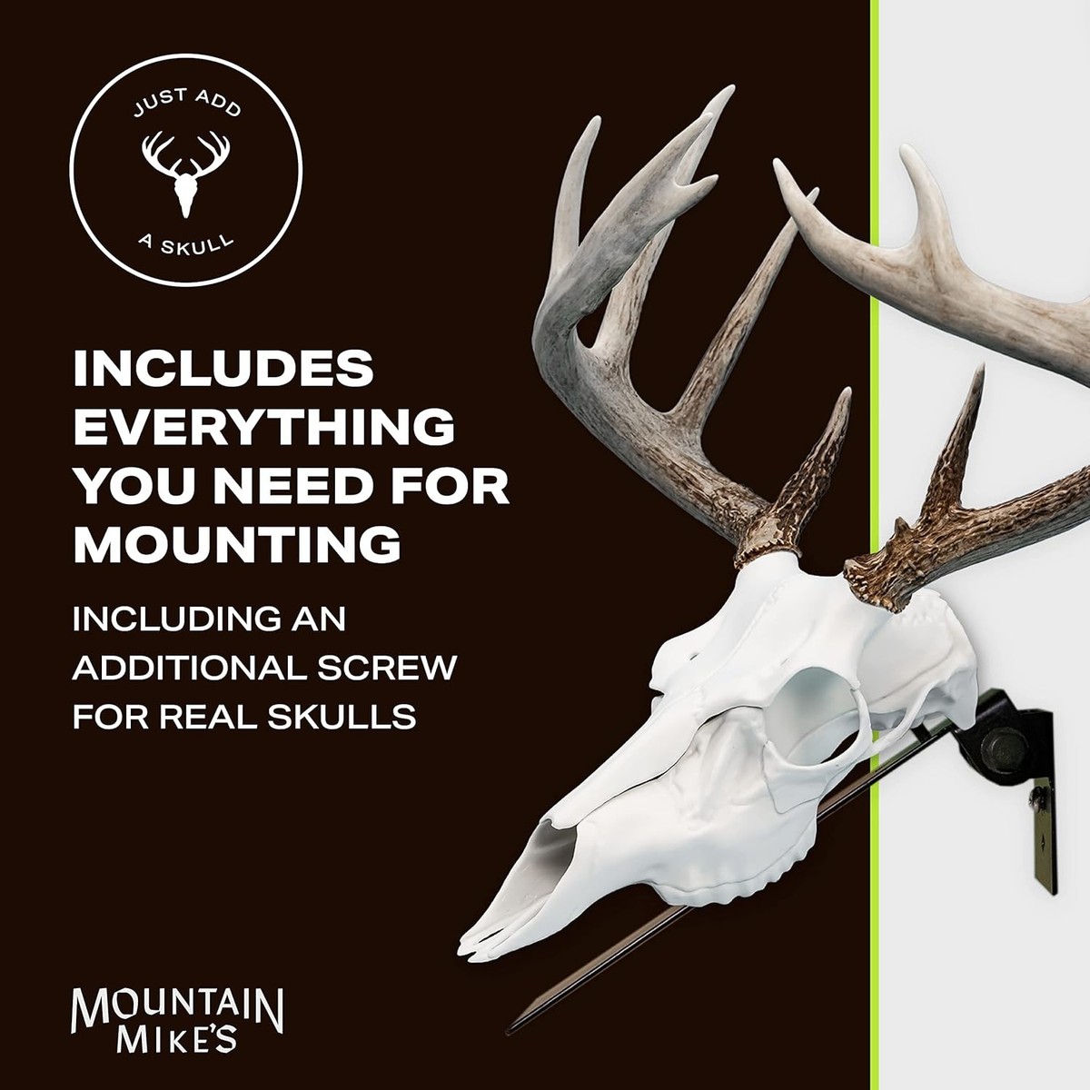 Mountain Mike's Reproductions Deer Positioner European Skull Wall