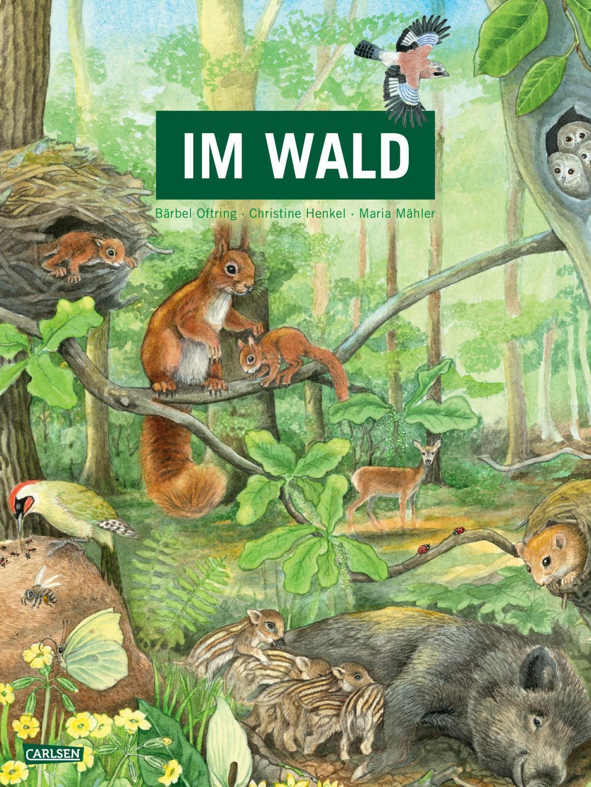 Thumbnail - Wald Bärbel Oftring