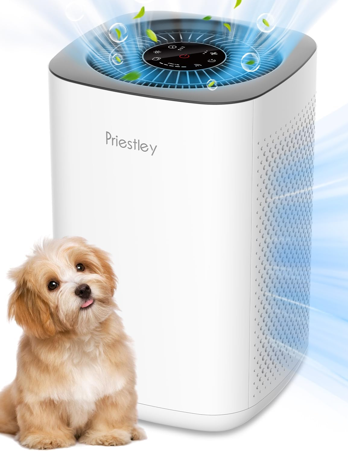 Air Purifier for Bedroom, Home, Dorm up to 1100Ft², Smart Wifi and Timers, 3-In-