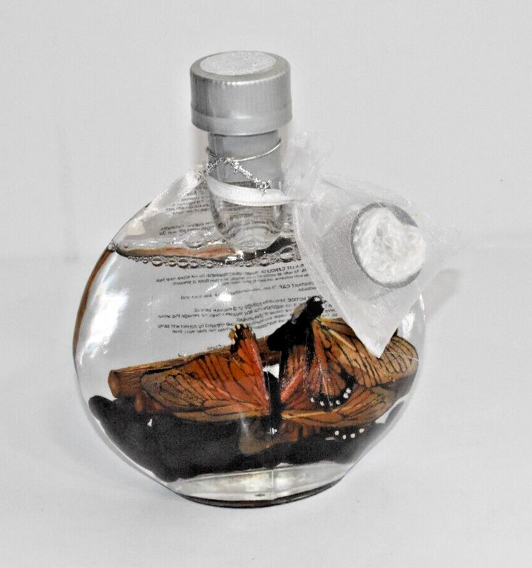 Shonfeld's Oil Lamp with Butterfly