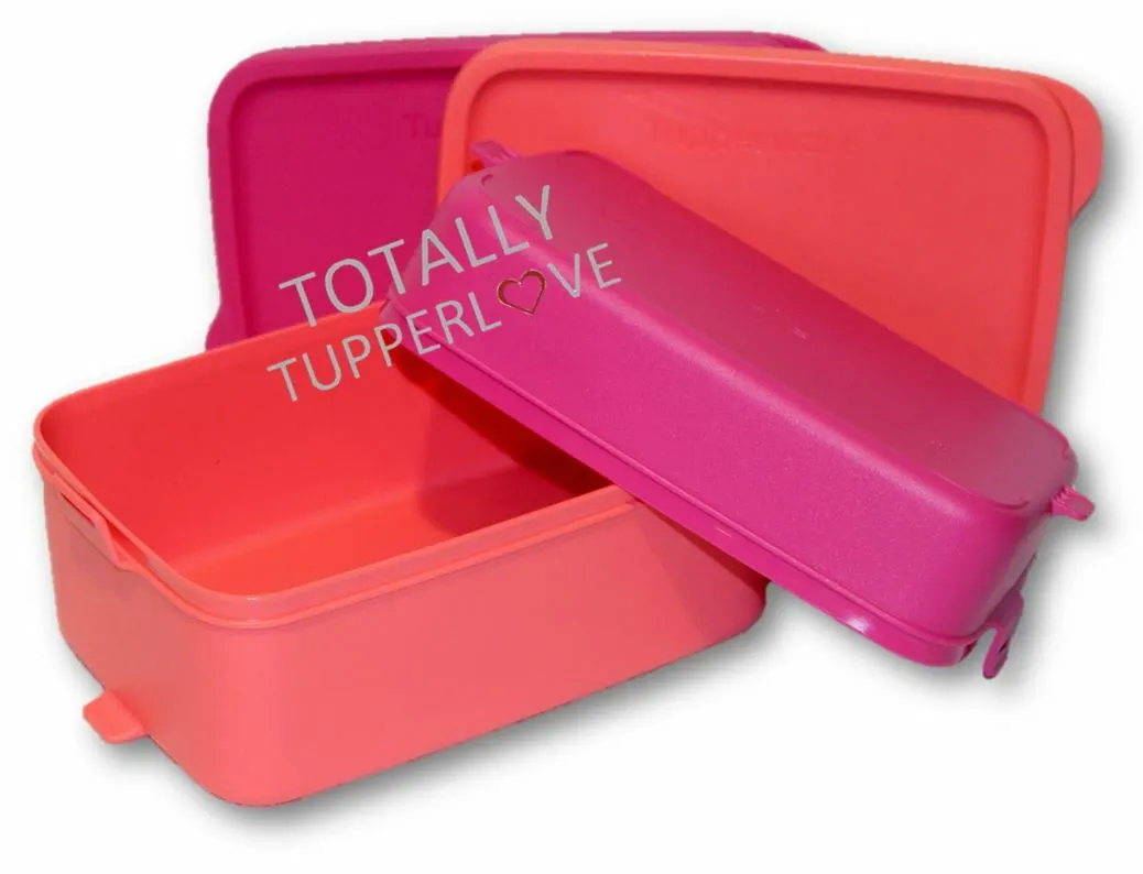 Tupperware Lunch Set of 2 Pak N Carry Click To Go w/ Handle Pink & Coral  Orange