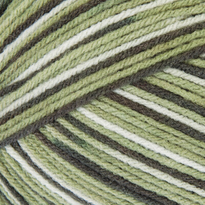 Mary Maxim Maximum Value Yarn - Green Ombre