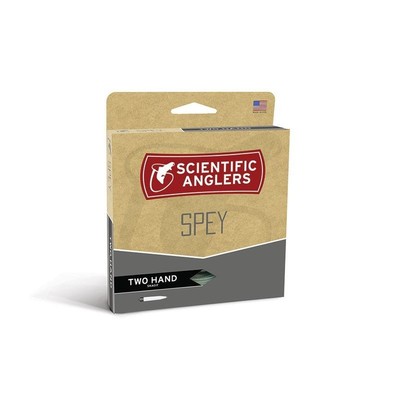Scientific Anglers Skagit Intermediate Head