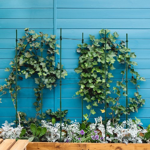 Multi-use Tomato Cage Plants Support Trellis Climbing Cage Stand for Pepper E... - Picture 5 of 8