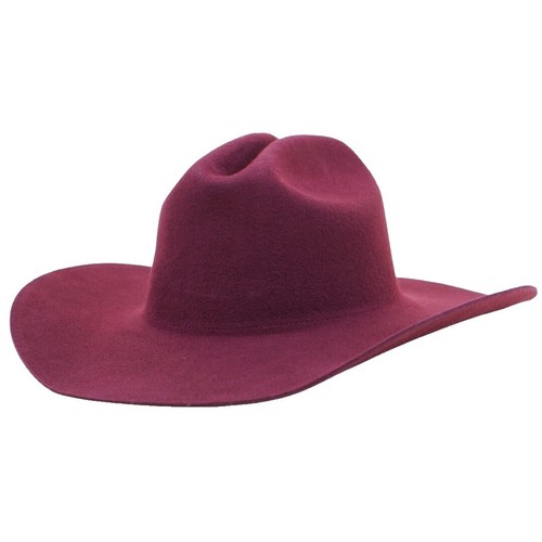 blinking tiara felt cowboy cowgirl dress up hat with feather 