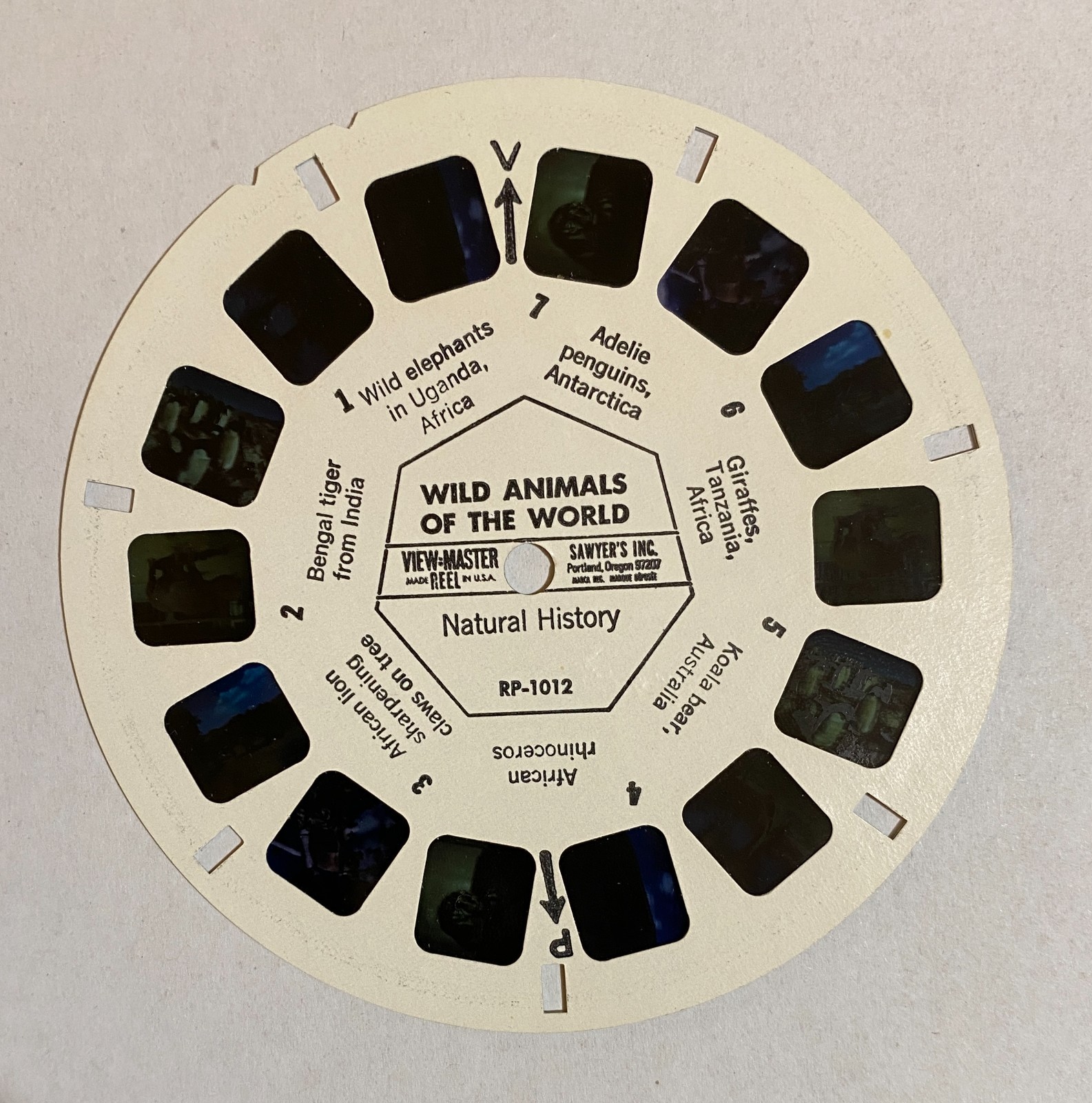 - Reel Paks Rp Reels - Choose Your Own! Updated 2/16