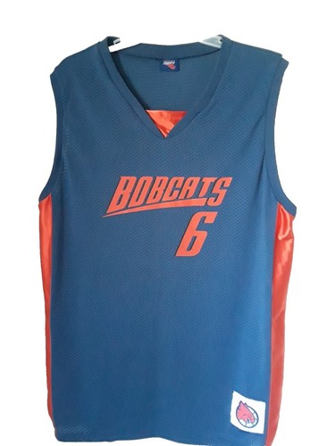 Vintage NBA Champion Reversible Jersey Charlotte Two-Sided - Size 