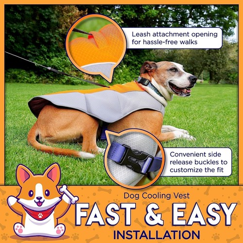 Cooling Vest for Small, Medium, and Large Dogs - Evaporative Vest for Hot Summer - Picture 7 of 7