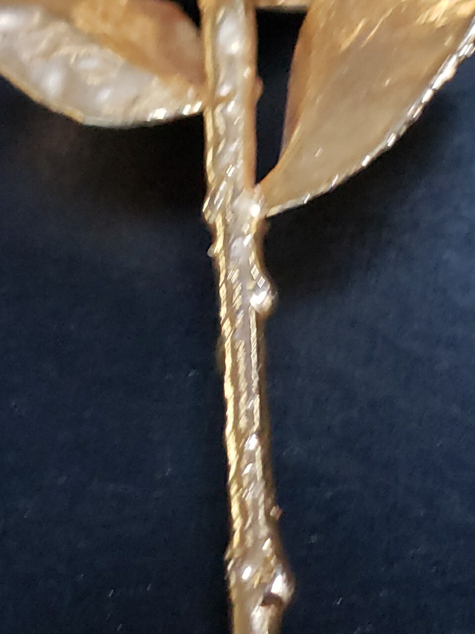 Picture 7 of 12