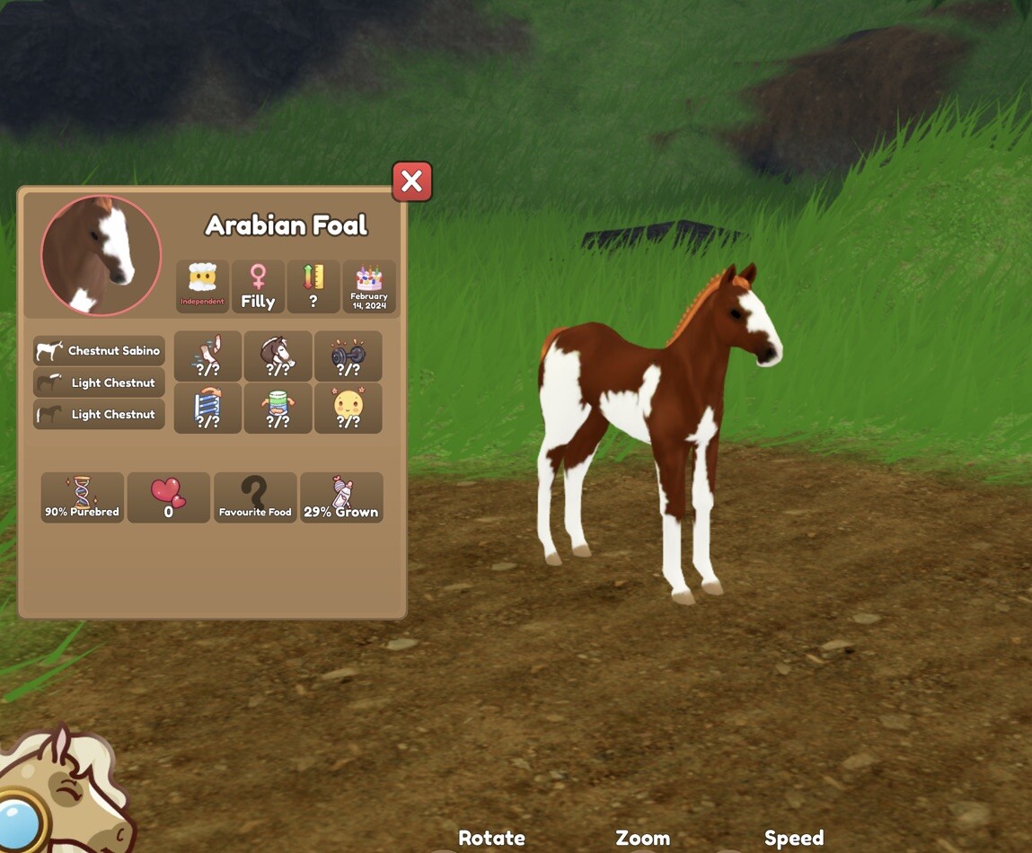 Wild Horse Islands Roblox Rare Arabian Horse Chestnut Sabino Coat