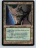 Magic the Gathering Wizards' School Homelands MTG Free Shipping!