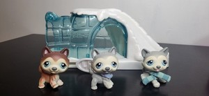 Little Pet Shop LPS – Chien Husky N°69 – Occasion – Collection