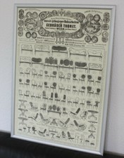 Thonet Bugholz Meble Vintage Plakat