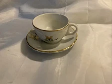 Vintage Roosevelt Hotel Coffee Cup & Saucer By Shenango Ivory With Gold Trim