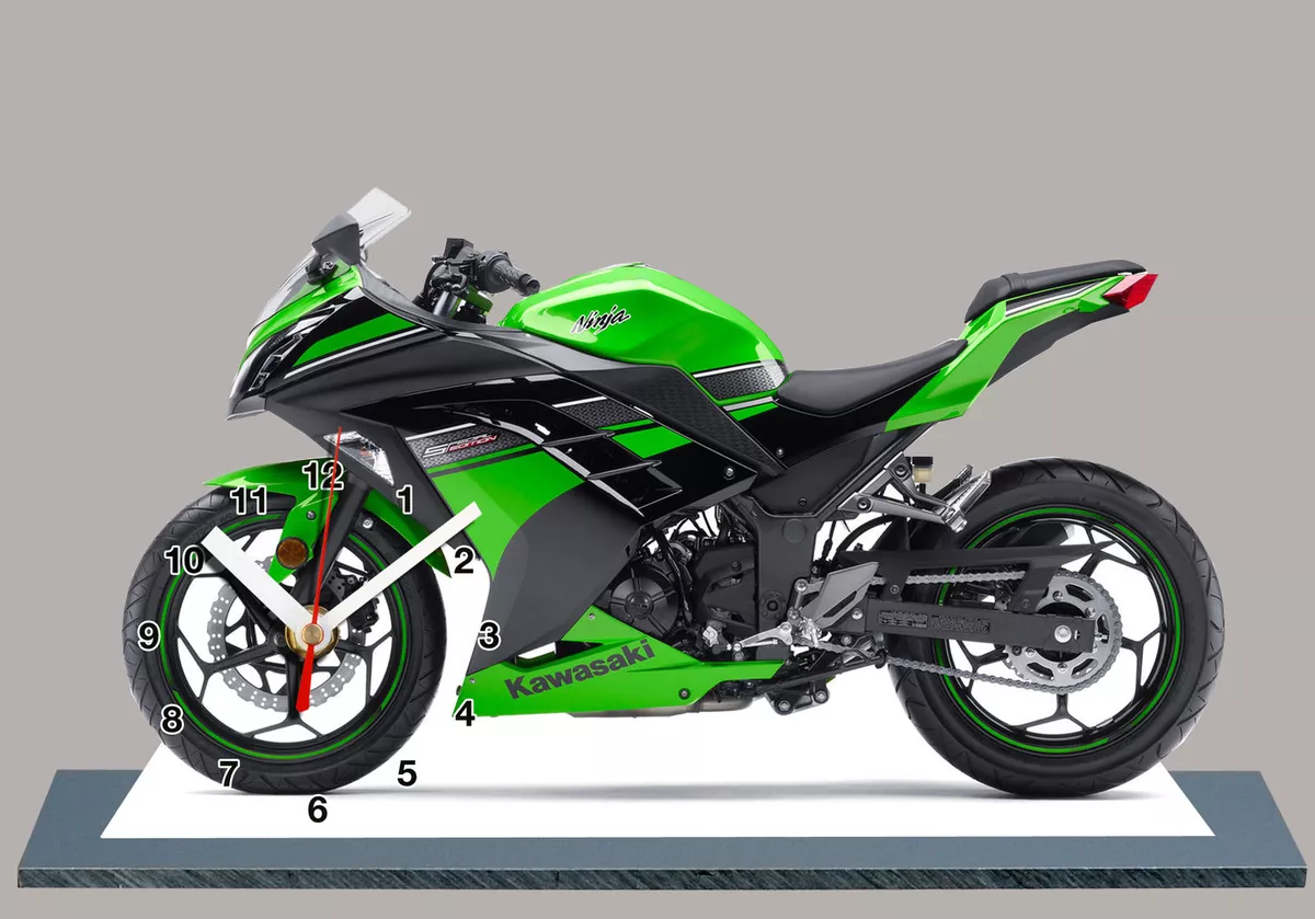 Ninja 2024 300 moto