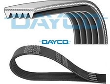 DAYCO 5PK975 Keilrippenriemen Keilriemen