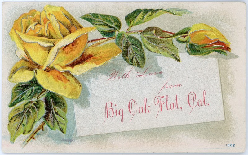Antique 1910 Greeting Postcard Yellow Roses Love From Big Oak Flat Groveland CA