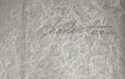 18x15 Blue Plat Map Genealogy Land Owner Art Artistic Charleston Township IOWA - Picture 9 of 9
