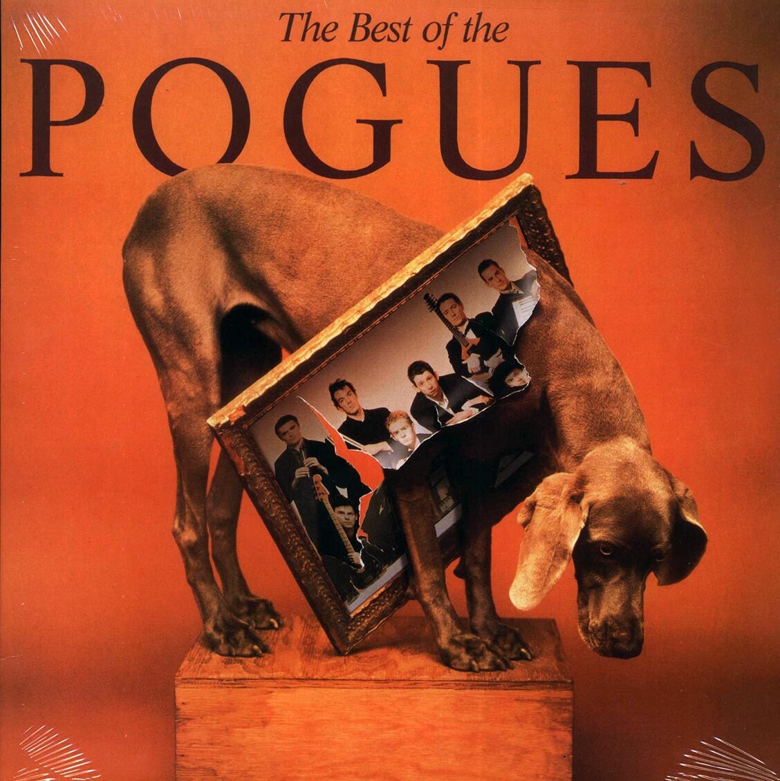 欧LP Pogues The Best Of The Pogues 0190295672560 Pogue Mahone Records /00260 欧LP Pogues The Best Of The Pogues 0190295672560 Pogue