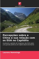 Laurens Hemminga | PercepçõEs Sobre A China E Sua RelaçãO Com Os Eua No...