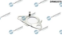 Dr.Motor Automotive Dichtung, Leitung Agr-Ventil DRM02570 FüR Mini