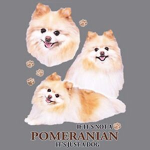 Pomeranian Size Chart