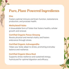 Vita·Min·Vitality | Natural Multivitamin for Men | Men’S Daily Multivitamin M...