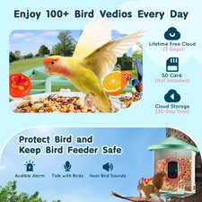 Smart Bird Feeder With Camera 2K HD AI Identify Bird Species Auto Capture