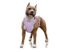 BARKBAY No Pull Dog Harness Large Reflective Harness w/ Front Clip Violet