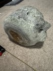 Fossil whale Vertebrae 5 To 20 Million Years Old From North Carolina — photo 6