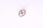 Bild 22 von 23