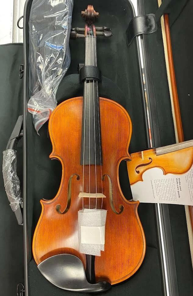 Stentor arcadia violin outlet