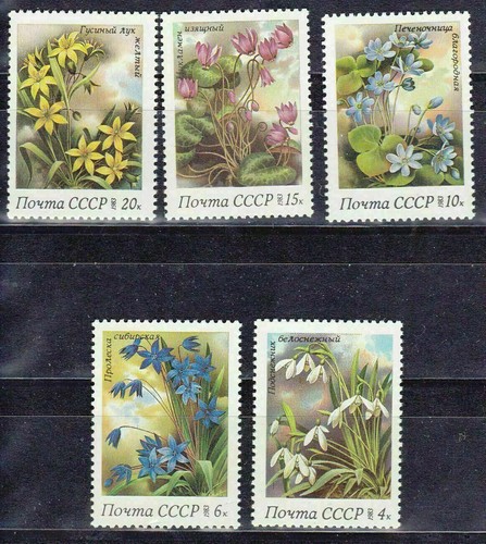 Blumen kompletter Satz postfrisch 1983 UdSSR flowers fleurs цветы flores 17
