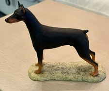 Figura Doberman Pinscher Border Fine Arts de Ray Ayres 1982 Escocia