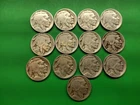 1929PDS 30PS 34PD 35PDS 36PDS  Buffalo Nickels. 13 Hole Fillers.