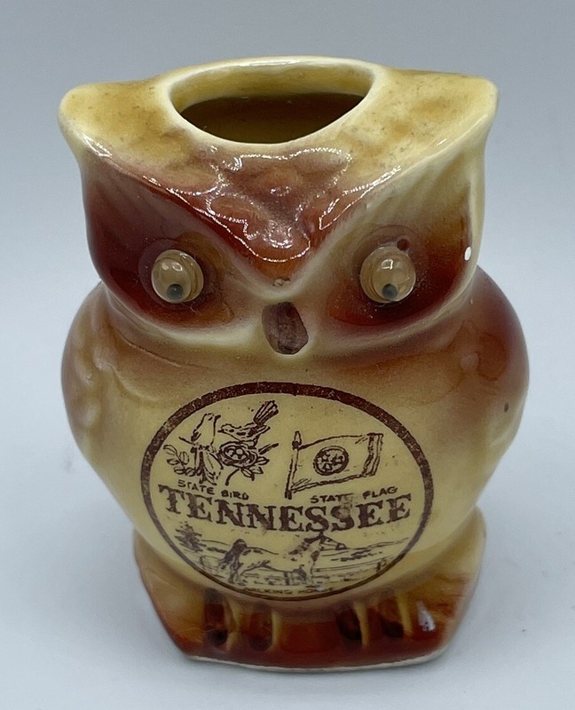 Vintage Owl Toothpick Holder Tennessee Souvenir Ceramic Collectible Googly Eyes