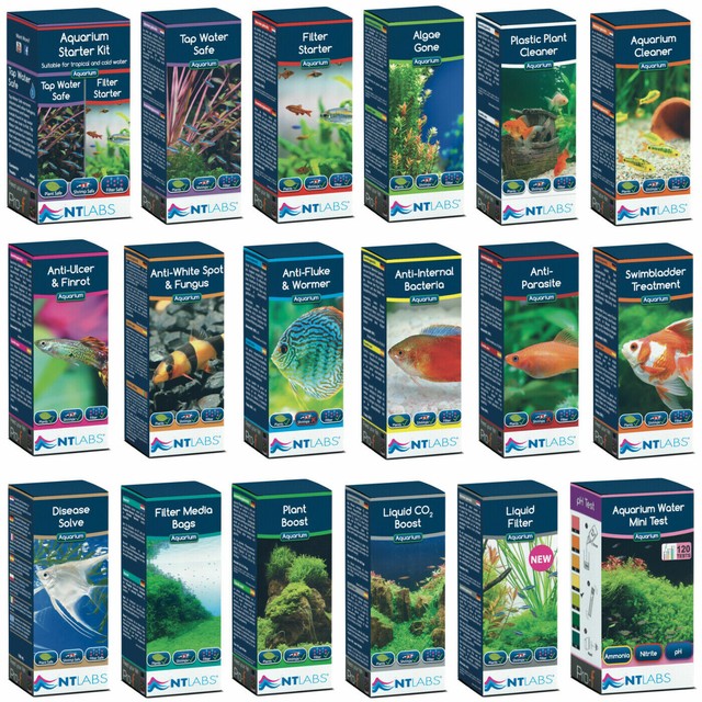 Interpet Anti Internal Bacteria Aquarium Treatment No 9 For