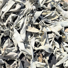 White Sage Clusters Loose Leaf Bulk 1oz to 3lbs Cleansing Smudging