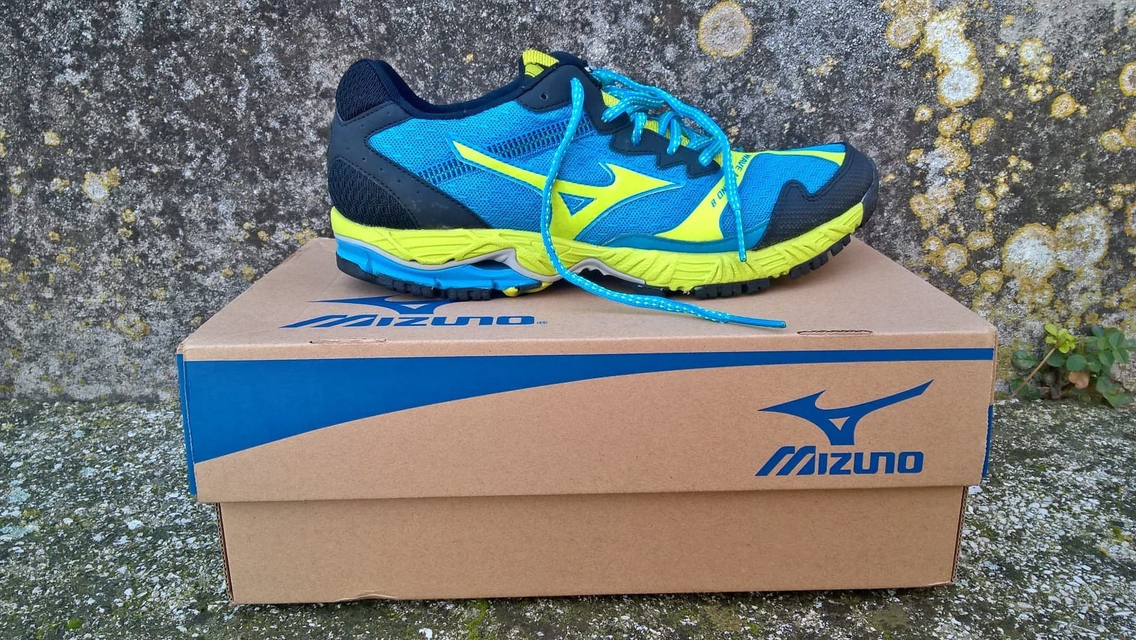 mizuno wave ascend blu