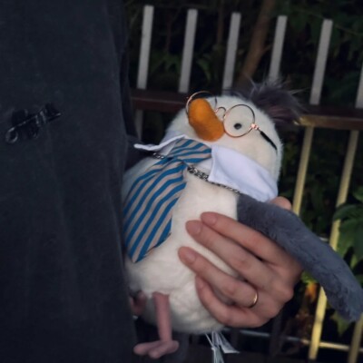  Chip Seagull カモメ Chip Seagull - Official Jellycat