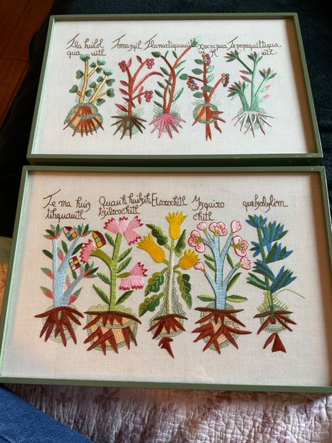 Vintage set of 2 embroidered tapestries plant varietals labeled glass framed Vintage set of 2 embroidered tapestries plant varietals labeled glass framed