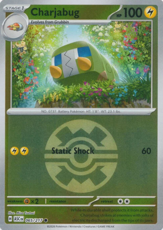 Pokemon Charjabug (65/583) Ascended Heroes NM REVERSE HOLO- Quick Ball