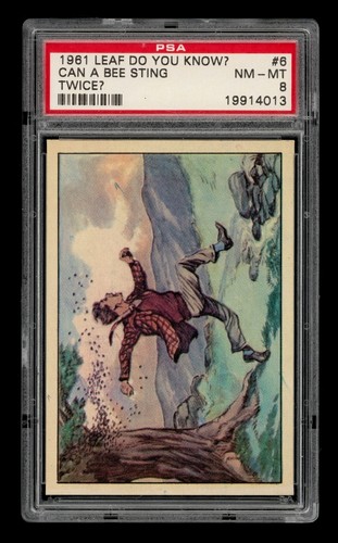 1961 Leaf Do You Know? Set-Break #  6 Can A Bee Sting Twice? PSA 8