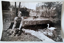 Ancienne photo de presse : Claude François : 20 * 30