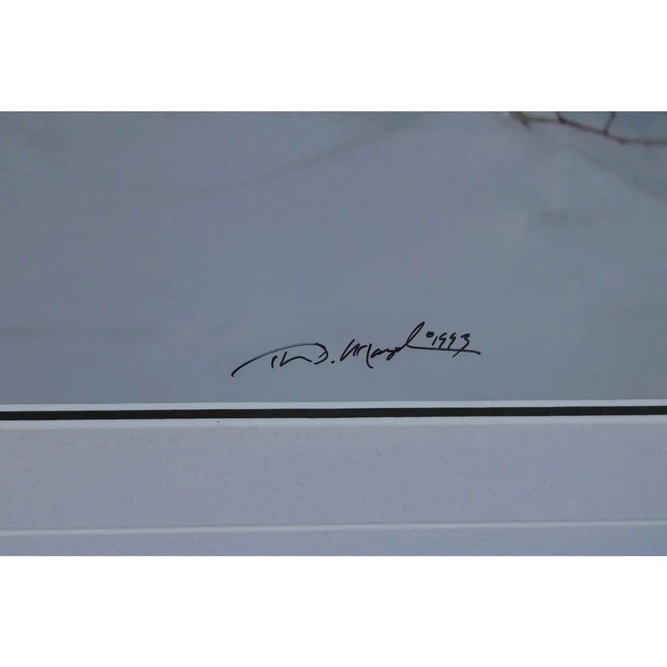 Thomas D Mangelsen's "Ermine in Trees" Signed #231/950 Framed and Matted Photo - Image 4 of 4