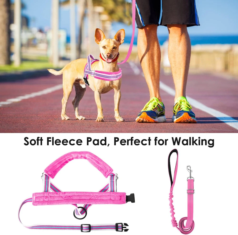 Dog Harness and Leash Set, Soft Padded Small Dog Harness, Neck & Chest Adjustabl