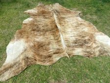 NEW LARGE BRINDLE CARAMEL Cowhide Rug natural Cowhides Cow Hide Skin 6X6 FEET RC