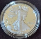 2025-W Proof $1 American Silver Eagle, 1oz .999 fine Silver  with COA in OGP.