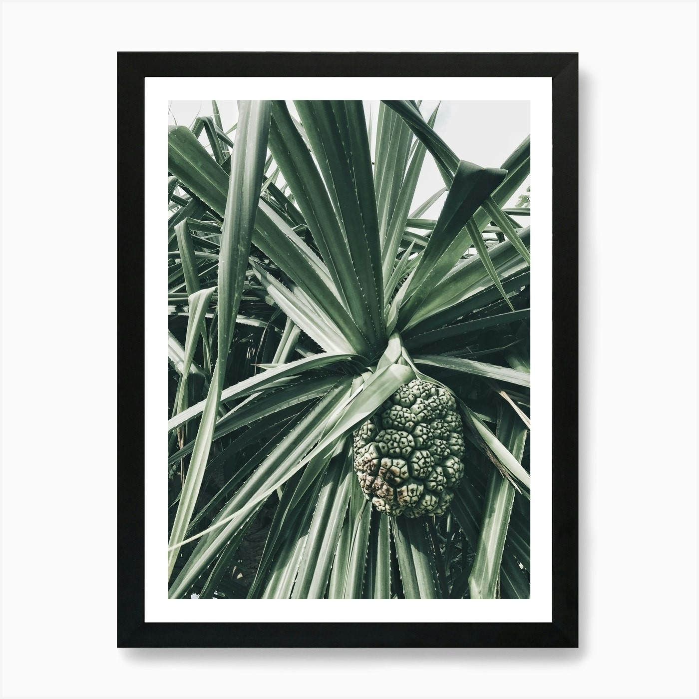 Palm Tree 8 Art Print Framed Wall Art Poster Canvas Print Picture